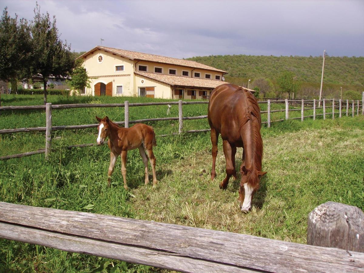 Agriturismo Potrero Grande Sul Lago Di Martignano Con Spiaggia Campagnano Di Roma Εξωτερικό φωτογραφία